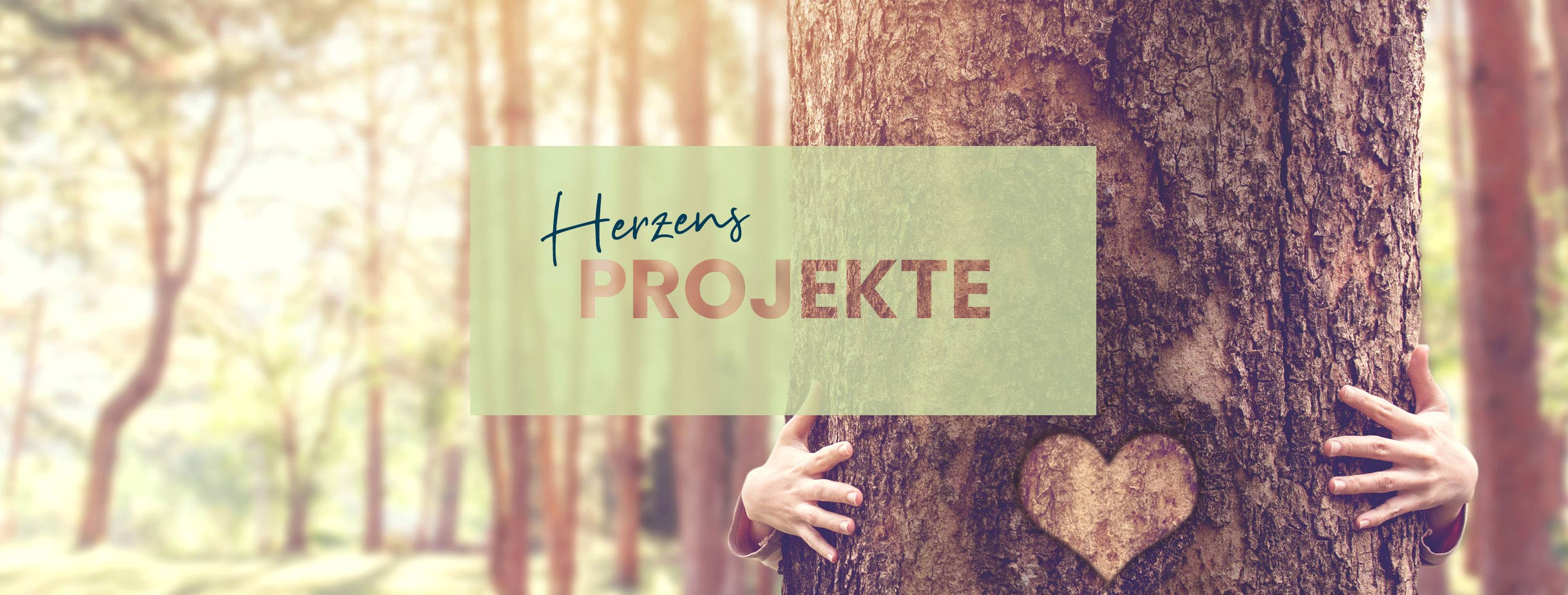 Bildbanner Herzensprojekte