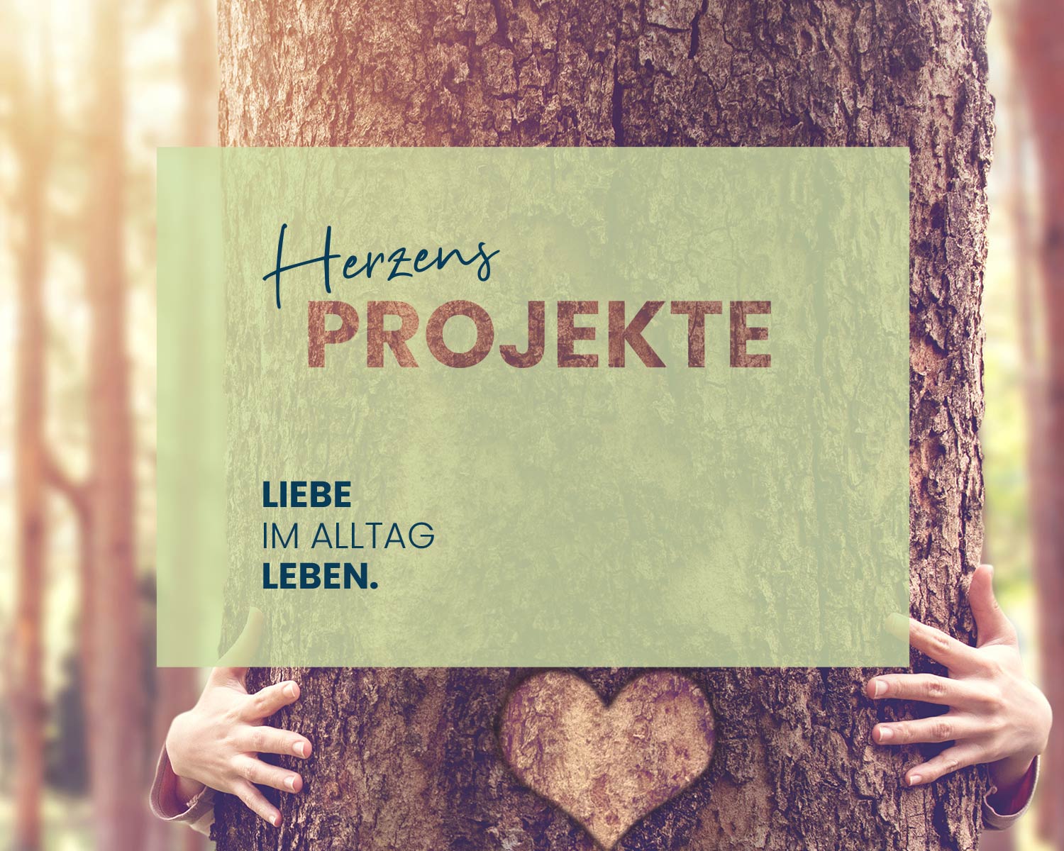 Bildbanner Herzensprojekte