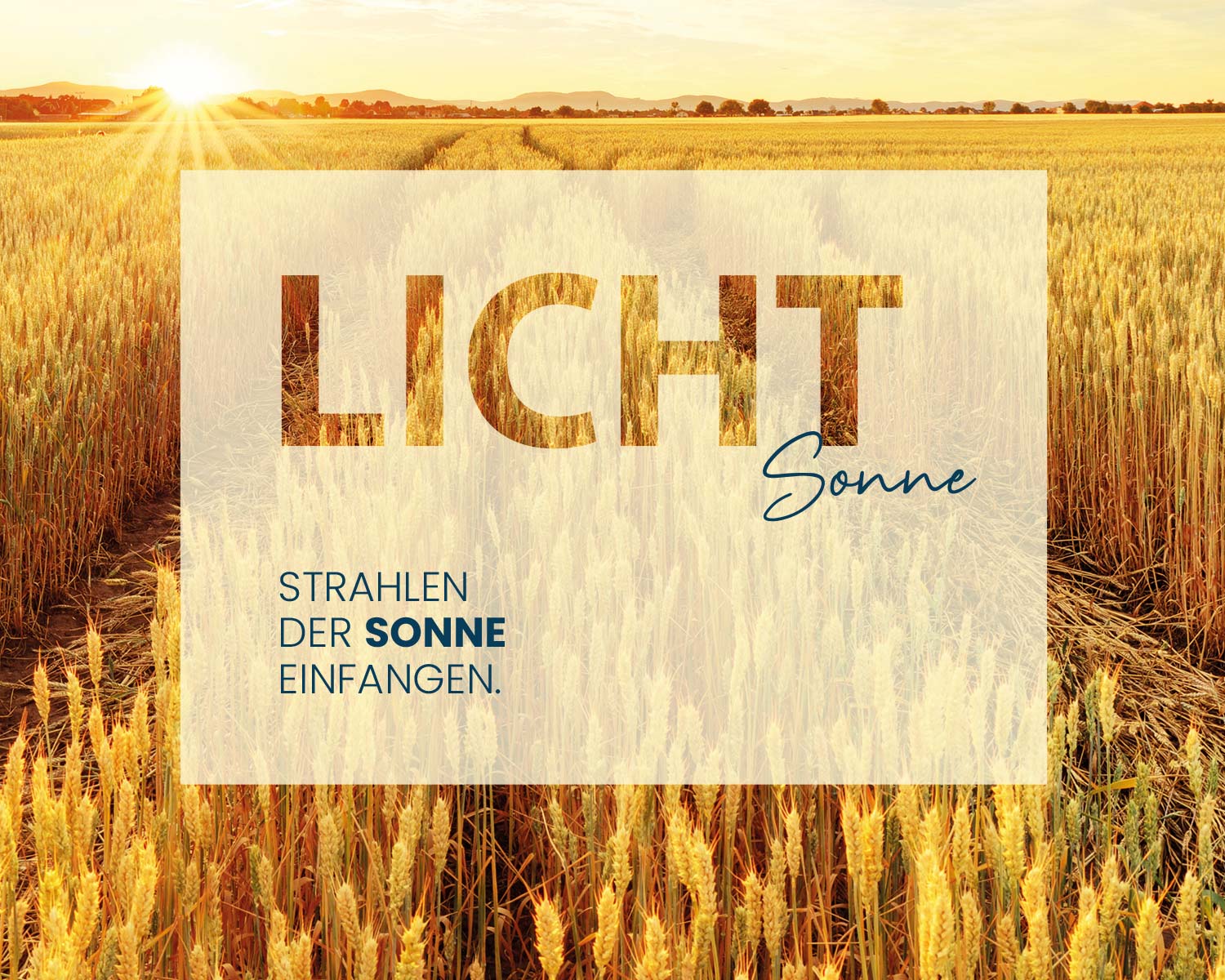 Bildbanner Photovoltaik