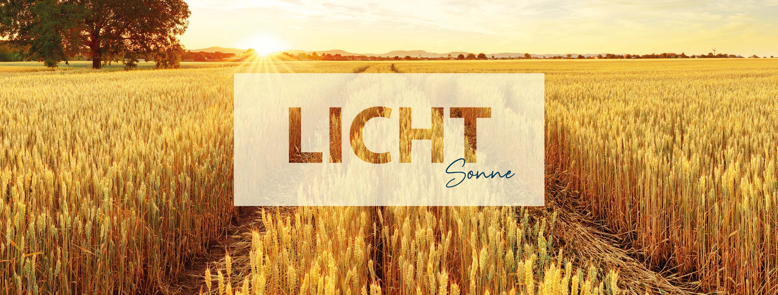 Bildbanner Photovoltaik