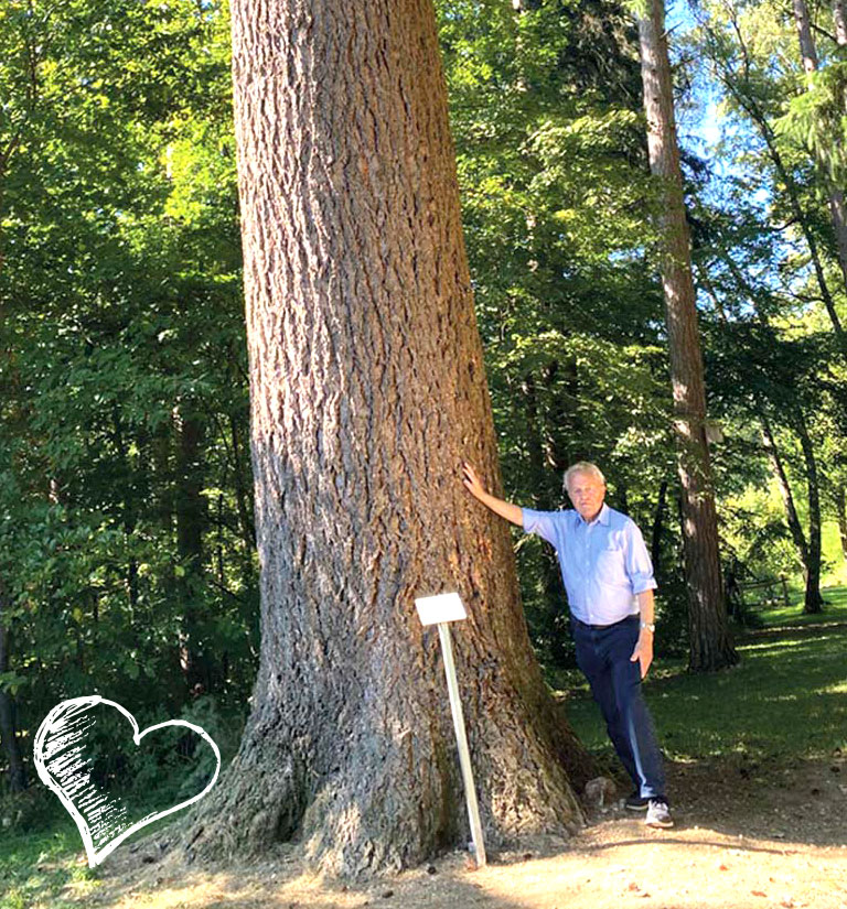 Herzensprojekt Waldanbau in Krumbach