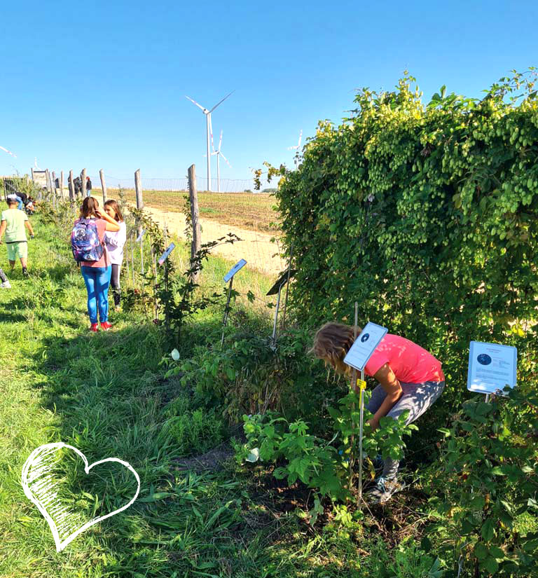 Herzensprojekt Obstgartln