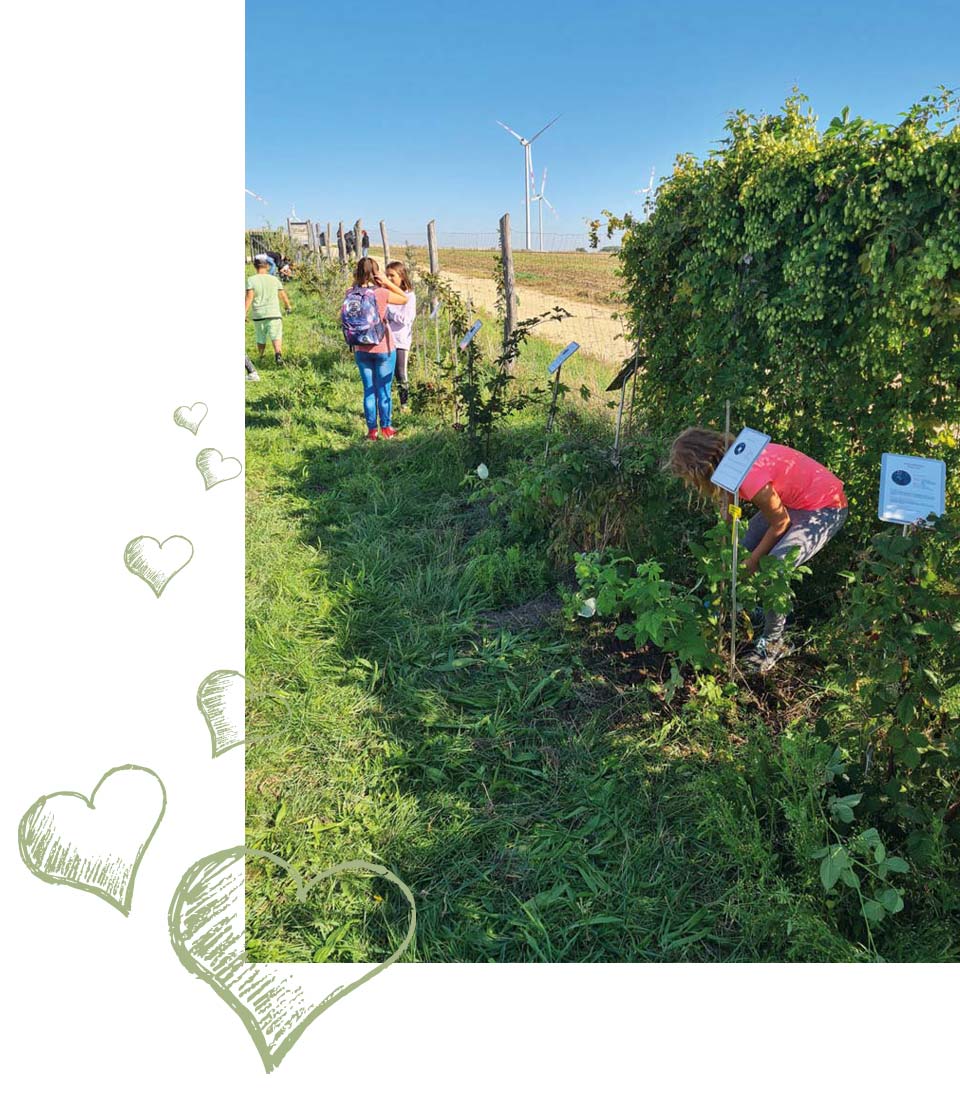 Herzensprojekt Obstgartln