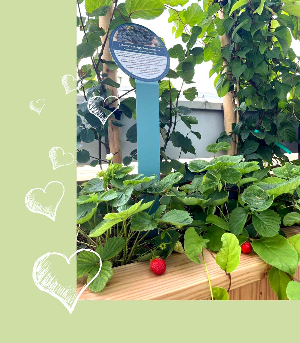 Herzensprojekt Essbare Terrasse