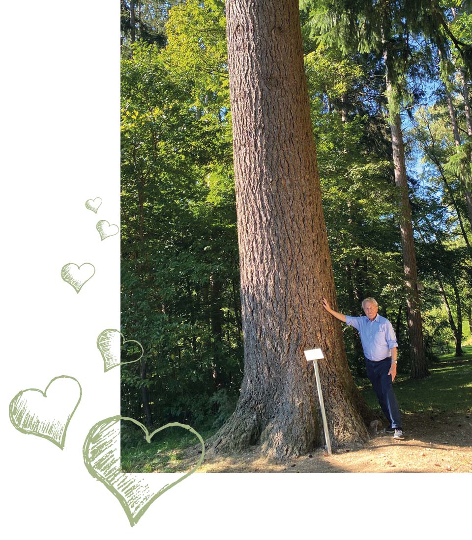 Herzensprojekt Waldanbau in Krumbach